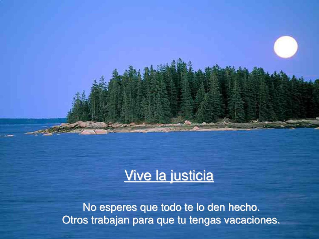 Vive la justicia No esperes que todo te lo den hecho.