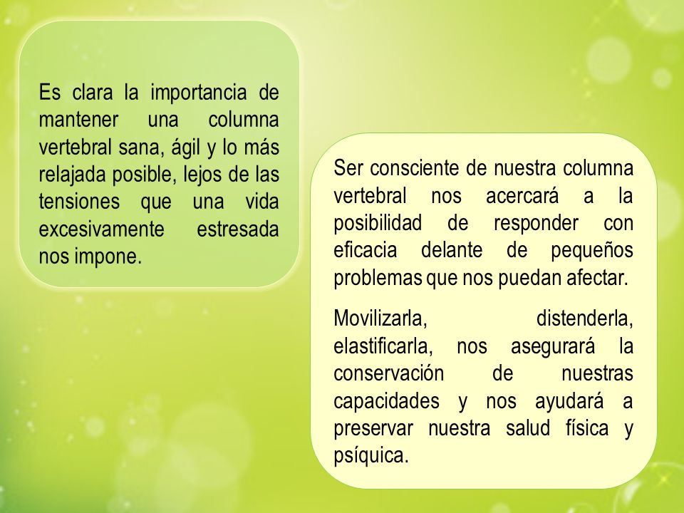 Es clara la importancia de mantener una columna vertebral sana, ágil y lo más relajada posible, lejos de las tensiones que una vida excesivamente estresada nos impone.