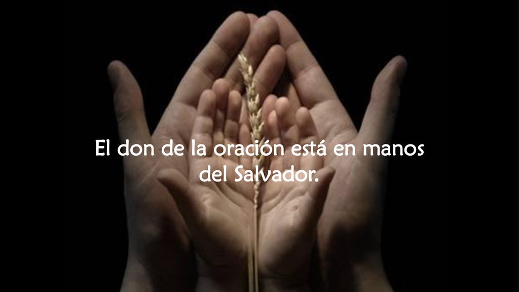 El don de la oración está en manos del Salvador.