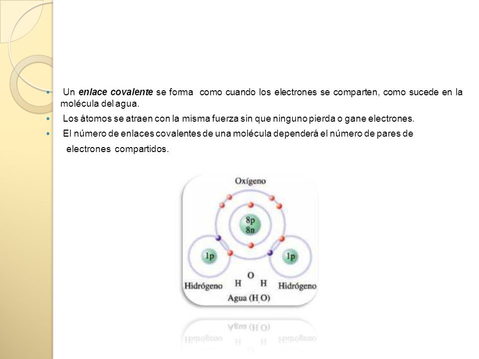 Un enlace covalente se forma como cuando los electrones se comparten, como sucede en la molécula del agua.