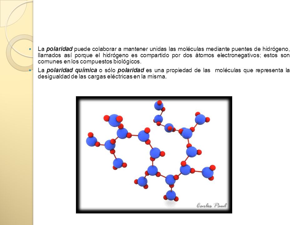 La polaridad puede colaborar a mantener unidas las moléculas mediante puentes de hidrógeno, llamados así porque el hidrógeno es compartido por dos átomos electronegativos; estos son comunes en los compuestos biológicos.