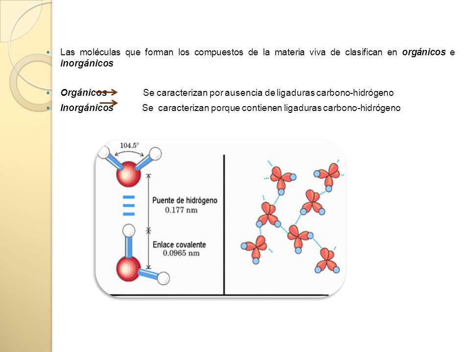 Las moléculas que forman los compuestos de la materia viva de clasifican en orgánicos e inorgánicos
