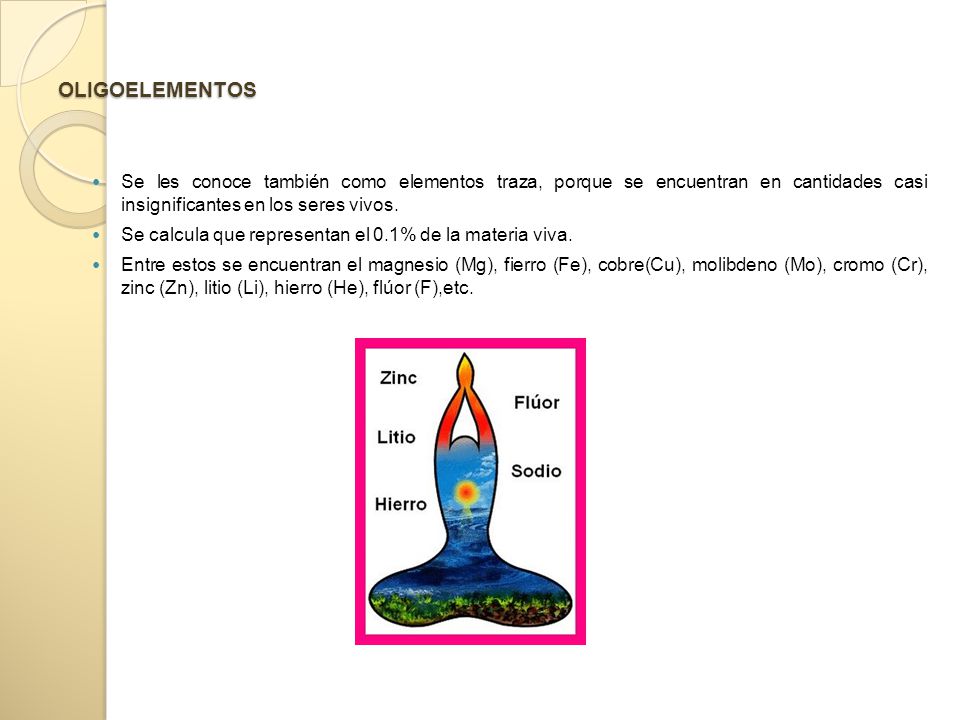 OLIGOELEMENTOS Se les conoce también como elementos traza, porque se encuentran en cantidades casi insignificantes en los seres vivos.