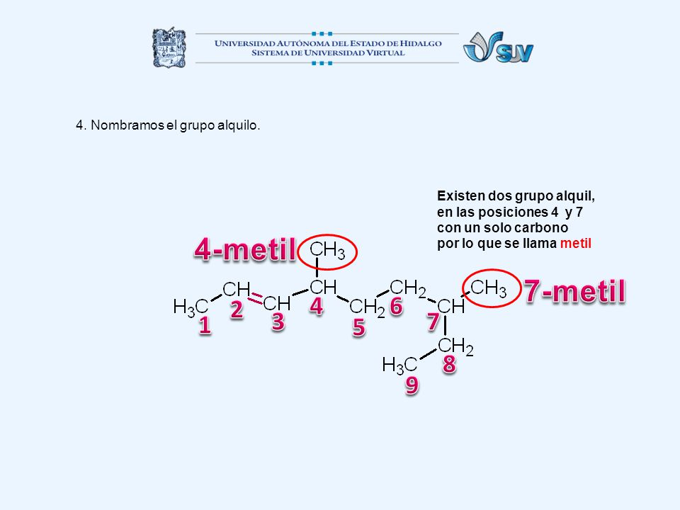 4-metil 7-metil Nombramos el grupo alquilo.