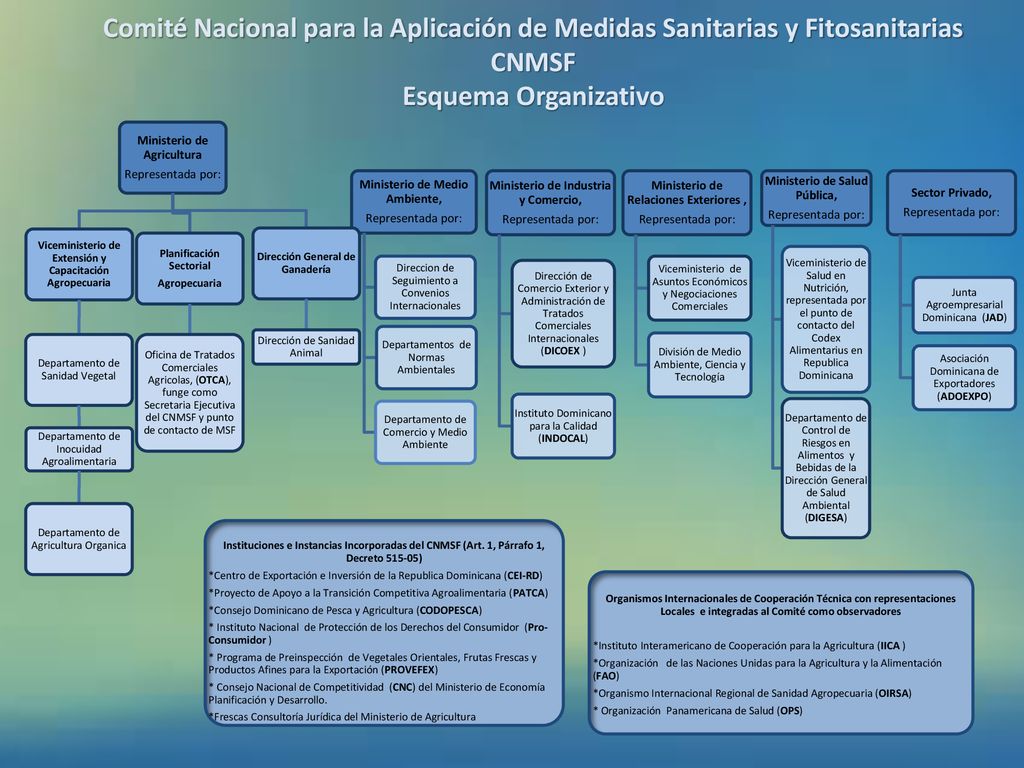 Comité Nacional para la Aplicación de Medidas Sanitarias y Fitosanitarias CNMSF Esquema Organizativo