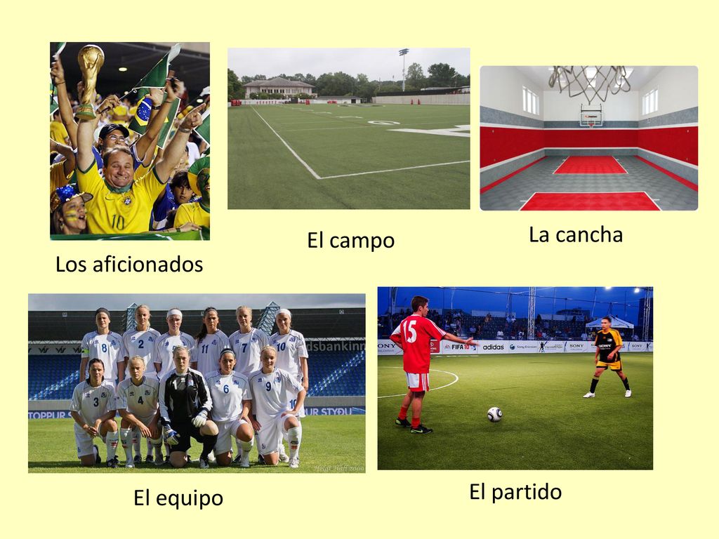 La cancha El campo Los aficionados El partido El equipo