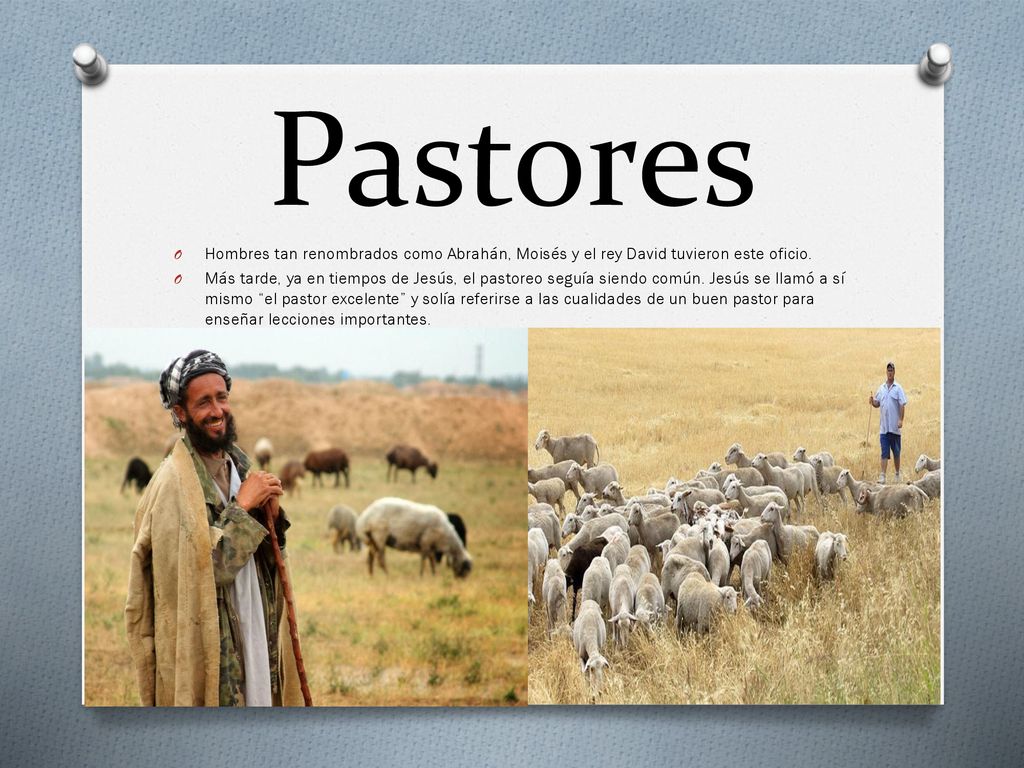 Pastores Hombres tan renombrados como Abrahán, Moisés y el rey David tuvieron este oficio.