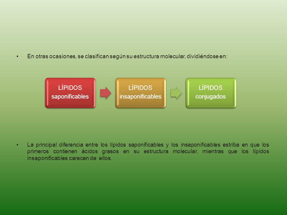 saponificables LÍPIDOS. insaponificables. conjugados. En otras ocasiones, se clasifican según su estructura molecular, dividiéndose en: