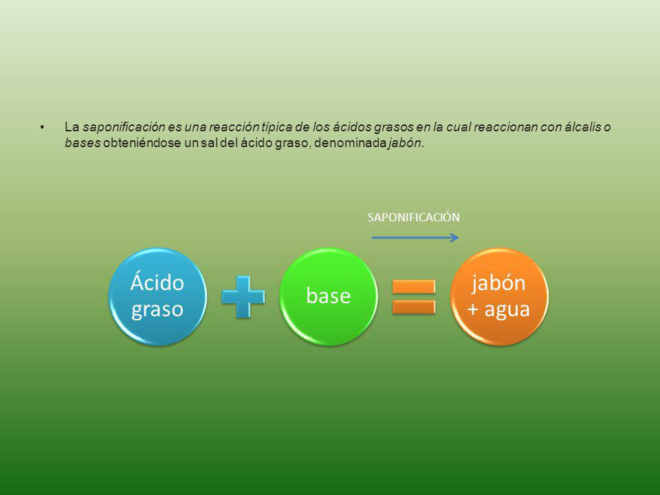 La saponificación es una reacción típica de los ácidos grasos en la cual reaccionan con álcalis o bases obteniéndose un sal del ácido graso, denominada jabón.