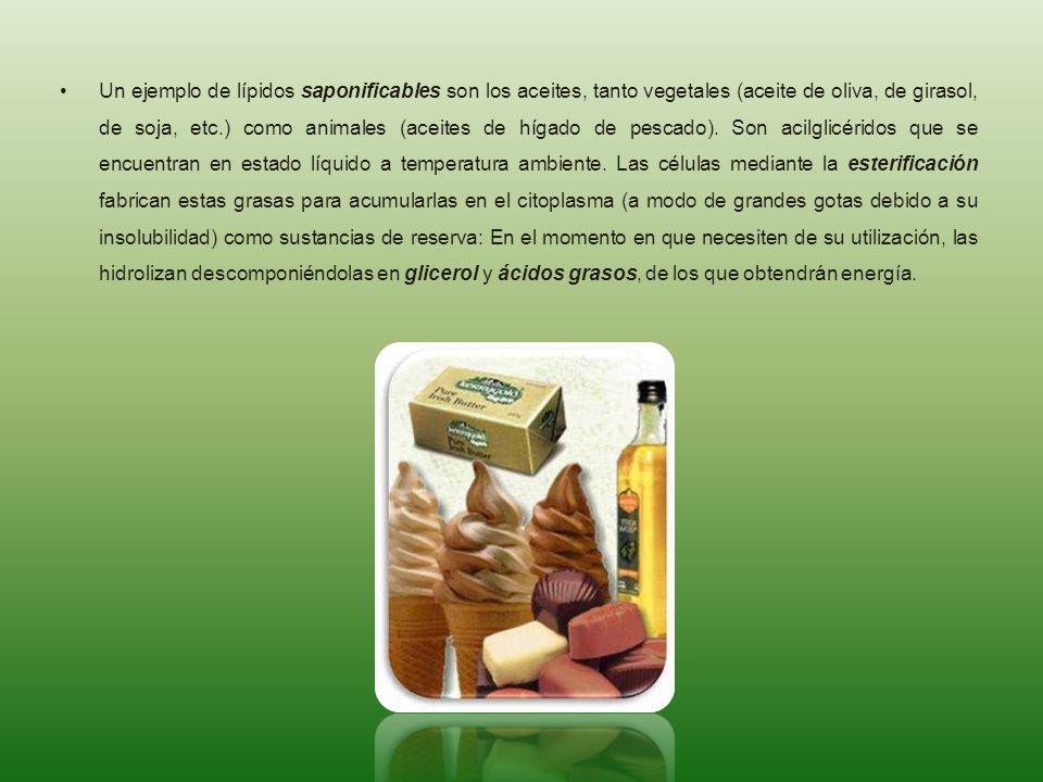 Un ejemplo de lípidos saponificables son los aceites, tanto vegetales (aceite de oliva, de girasol, de soja, etc.) como animales (aceites de hígado de pescado).
