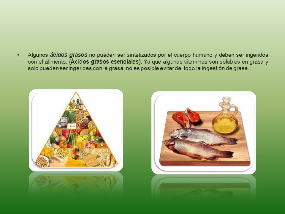 Algunos ácidos grasos no pueden ser sintetizados por el cuerpo humano y deben ser ingeridos con el alimento.