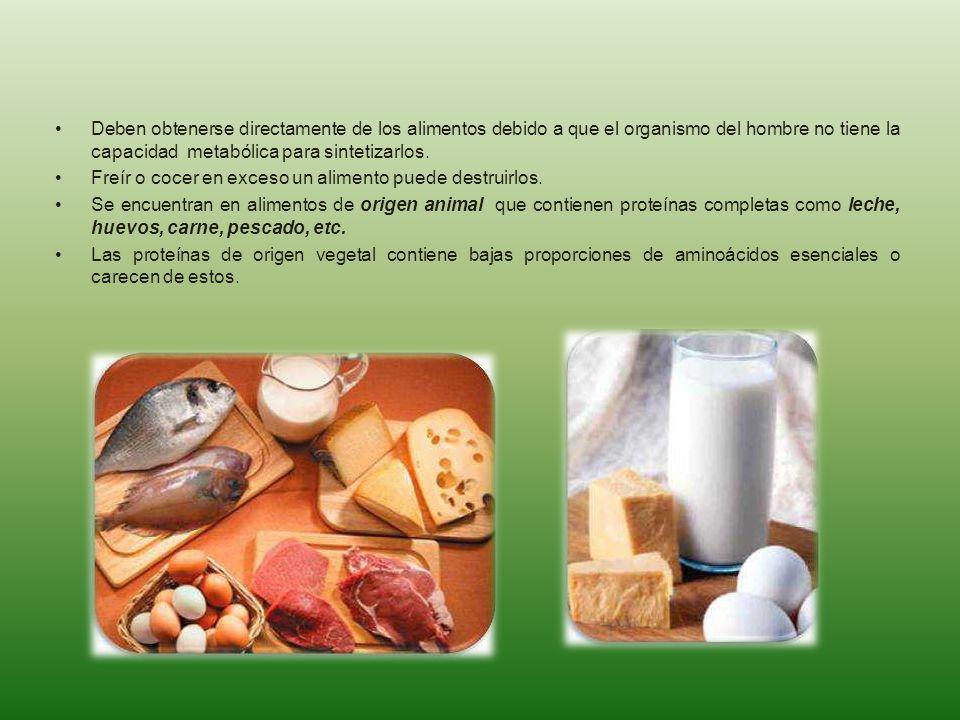Deben obtenerse directamente de los alimentos debido a que el organismo del hombre no tiene la capacidad metabólica para sintetizarlos.