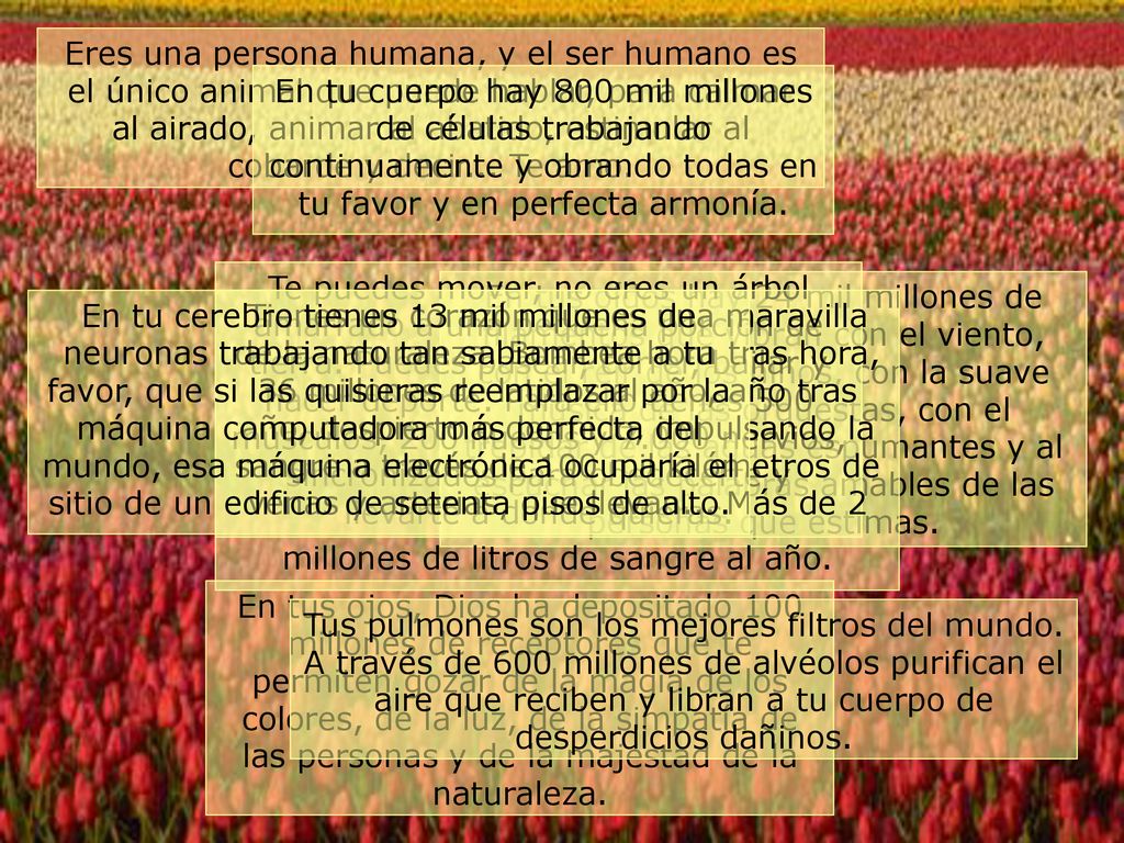 Eres una persona humana, y el ser humano es el único animal que puede hablar, para calmar al airado, animar al abatido, estimular al cobarde y decir... Te amo.