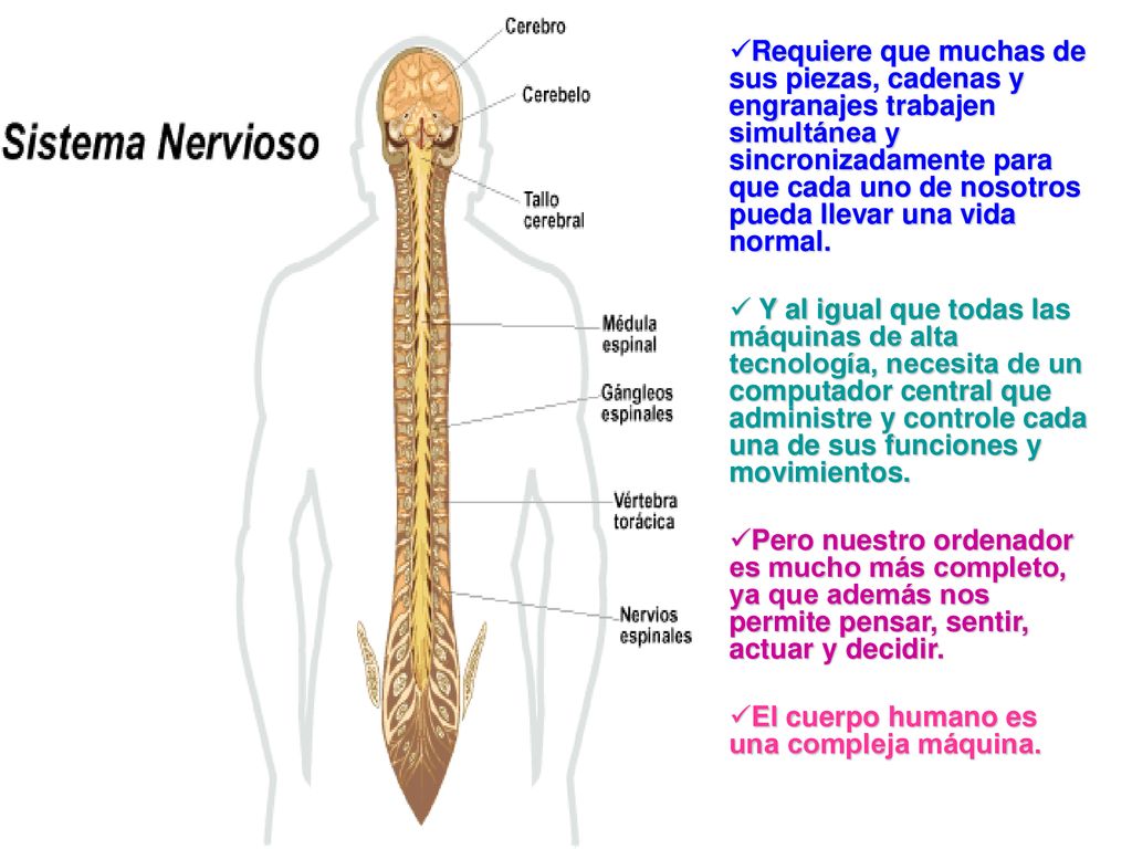 Requiere que muchas de sus piezas, cadenas y engranajes trabajen simultánea y sincronizadamente para que cada uno de nosotros pueda llevar una vida normal.