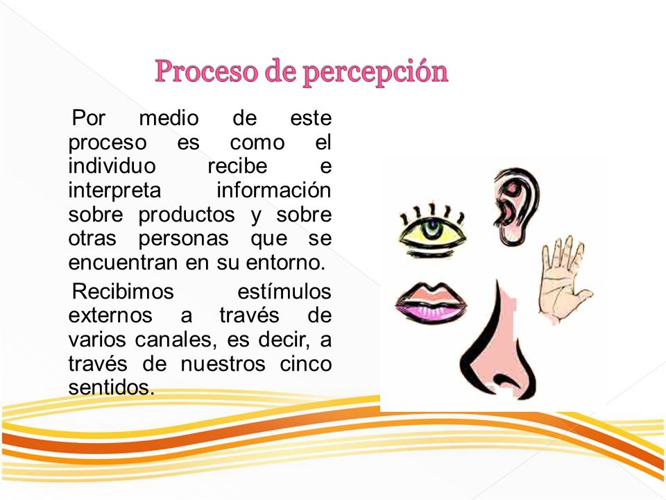 Proceso de percepción