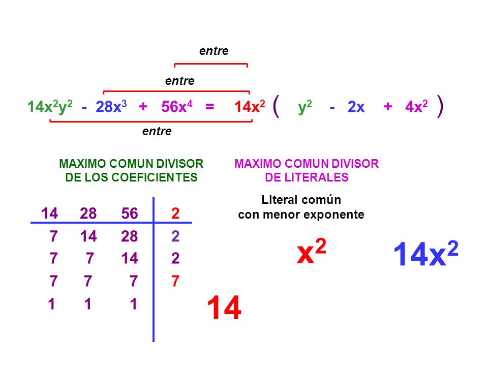 entre entre. ( ) 14x2y x x4. = 14x2. y2. - 2x. + 4x2. entre. MAXIMO COMUN DIVISOR.