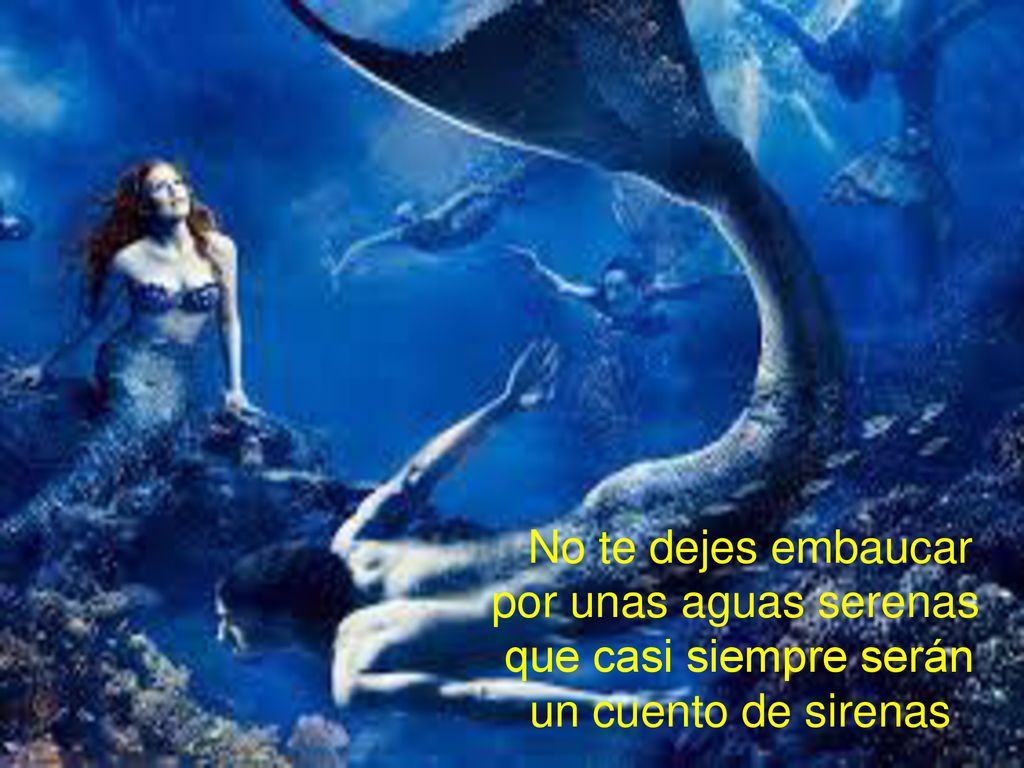 No te dejes embaucar. por unas aguas serenas. que casi siempre serán
