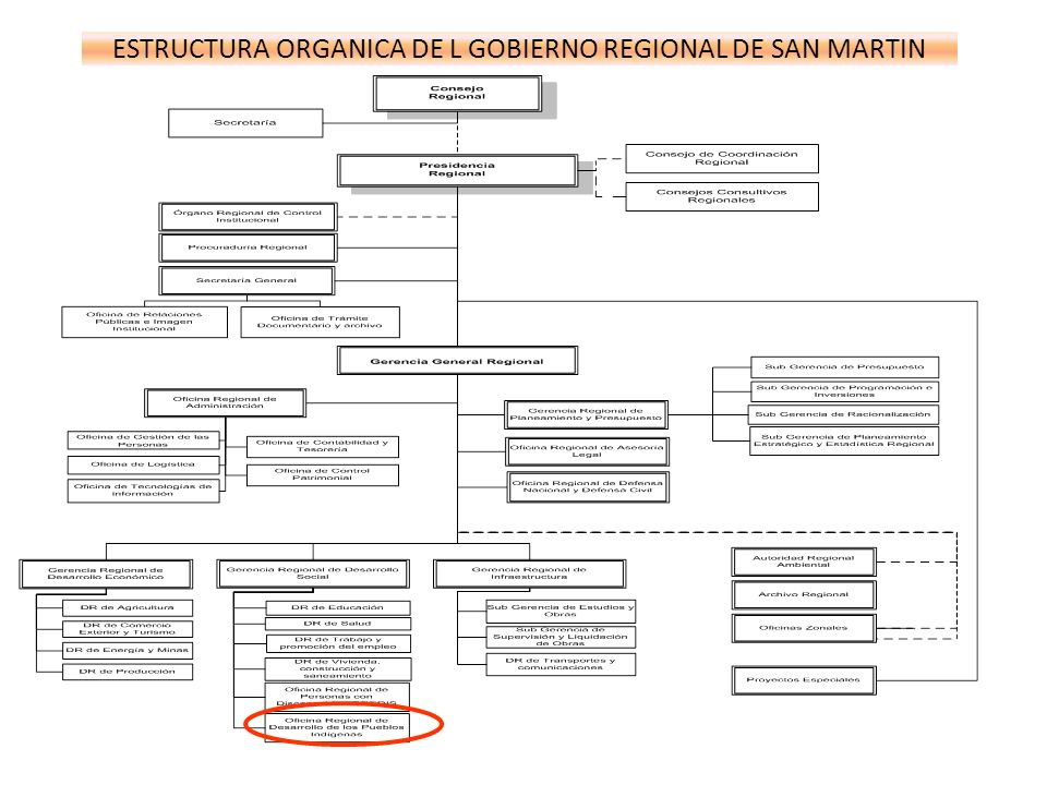 ESTRUCTURA ORGANICA DE L GOBIERNO REGIONAL DE SAN MARTIN