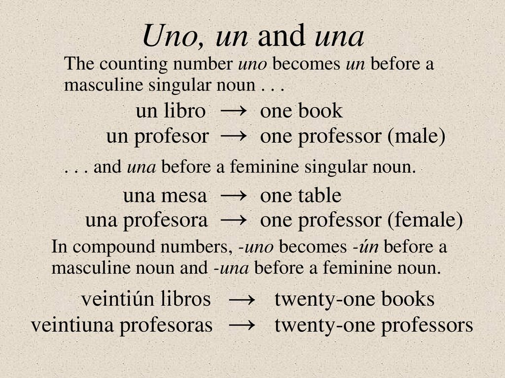 Uno, un and una → → → → → → un libro one book un profesor
