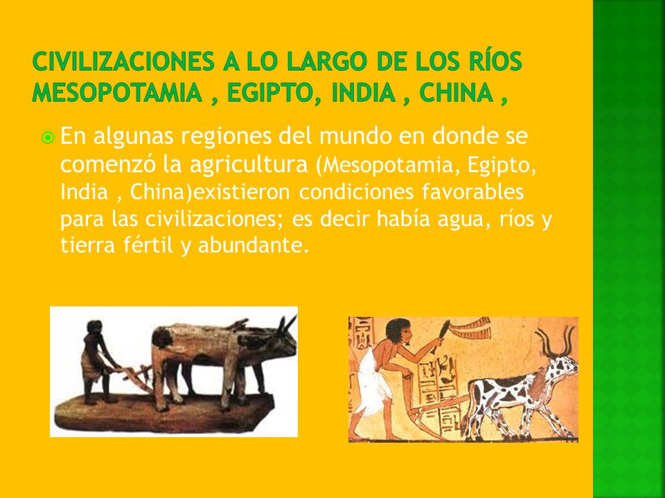 Civilizaciones a lo largo de los ríos Mesopotamia , Egipto, india , china ,