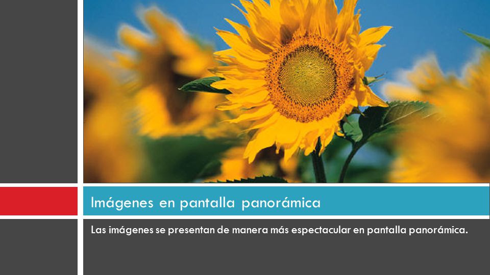 Imágenes en pantalla panorámica
