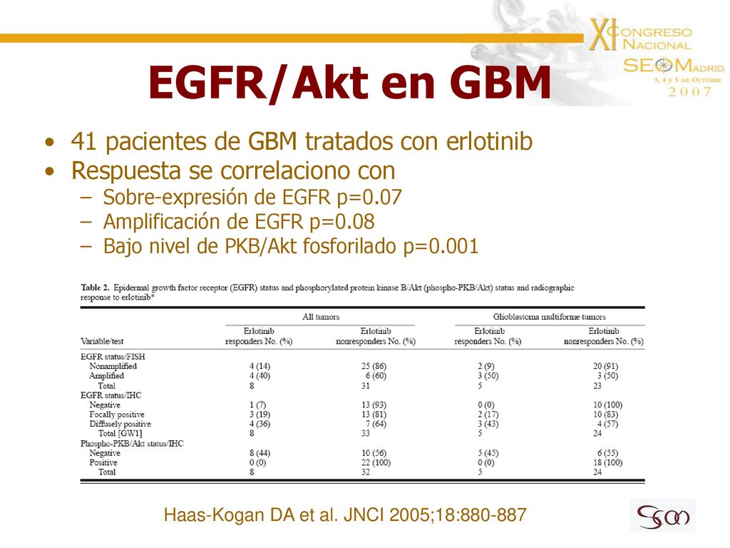 EGFR/Akt en GBM 41 pacientes de GBM tratados con erlotinib
