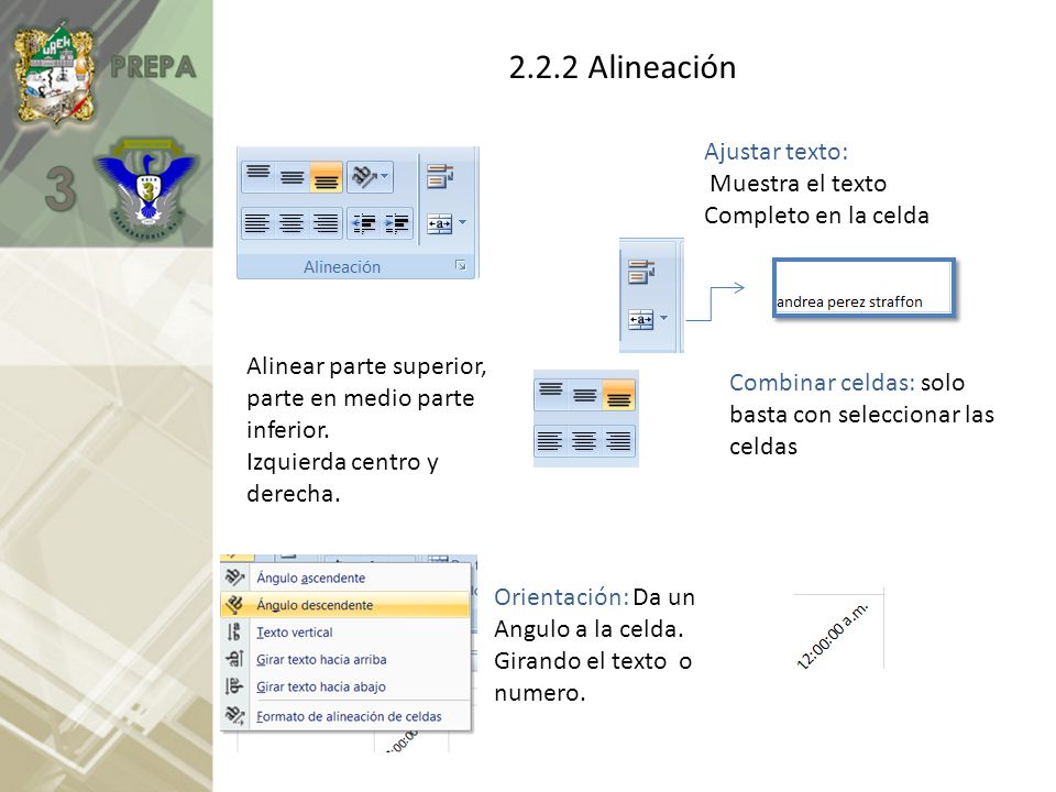 2.2.2 Alineación Ajustar texto: Muestra el texto Completo en la celda