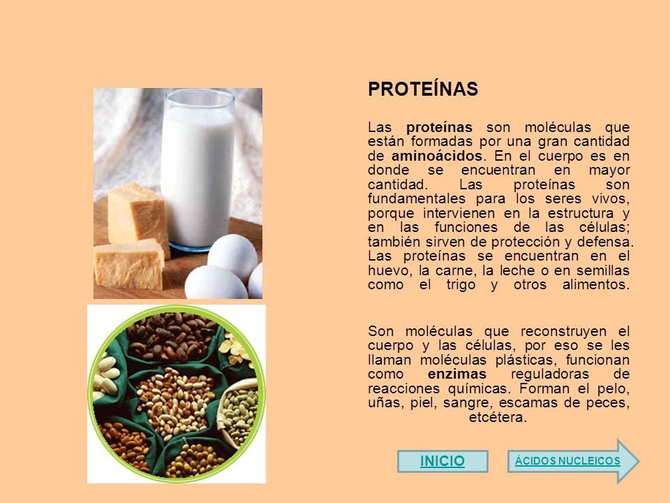 Donde se encuentran las proteinas del huevo