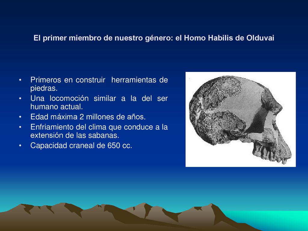 El primer miembro de nuestro género: el Homo Habilis de Olduvai