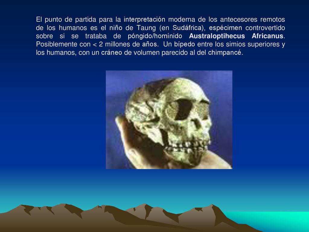 El punto de partida para la interpretación moderna de los antecesores remotos de los humanos es el niño de Taung (en Sudáfrica), espécimen controvertido sobre si se trataba de póngido/homínido Australoptihecus Africanus.
