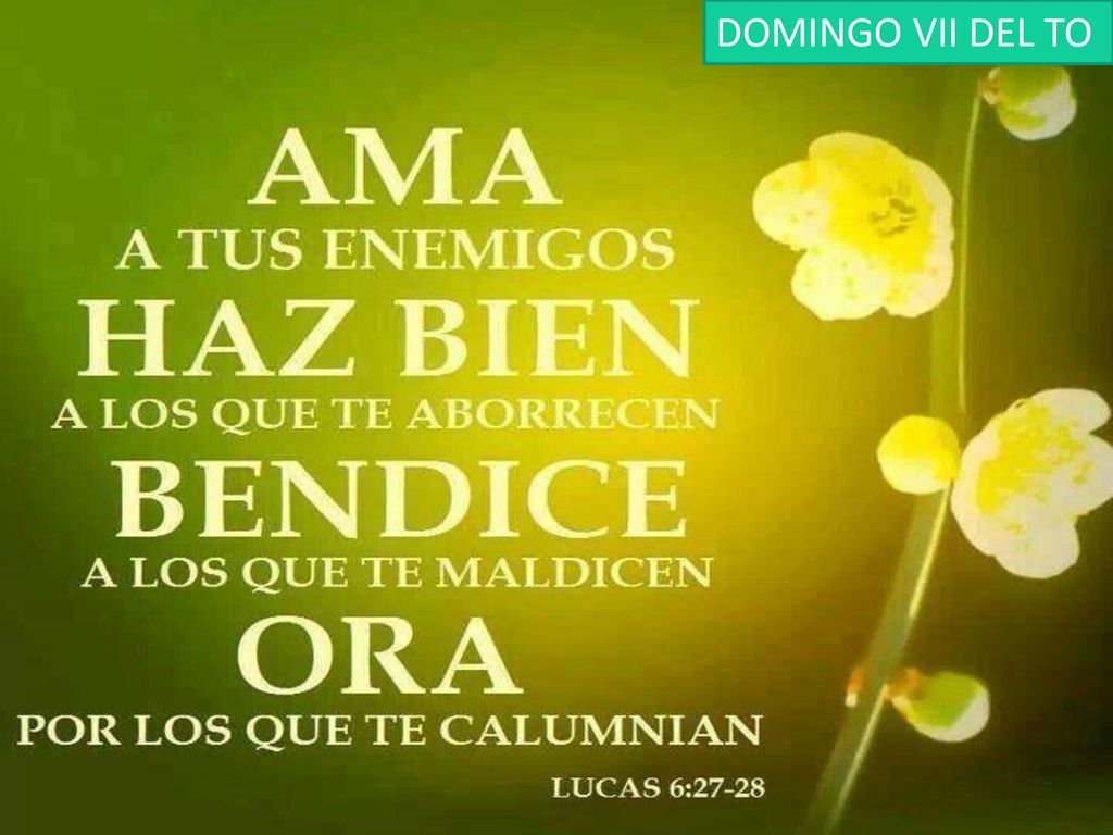 DOMINGO VII DEL TO DOMINGO II DEL T.O. DOMINGO VI DEL T.O.