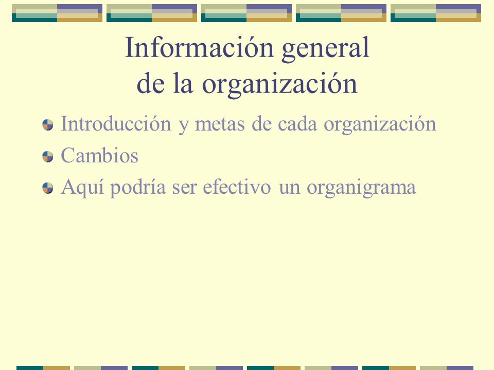 Información general de la organización