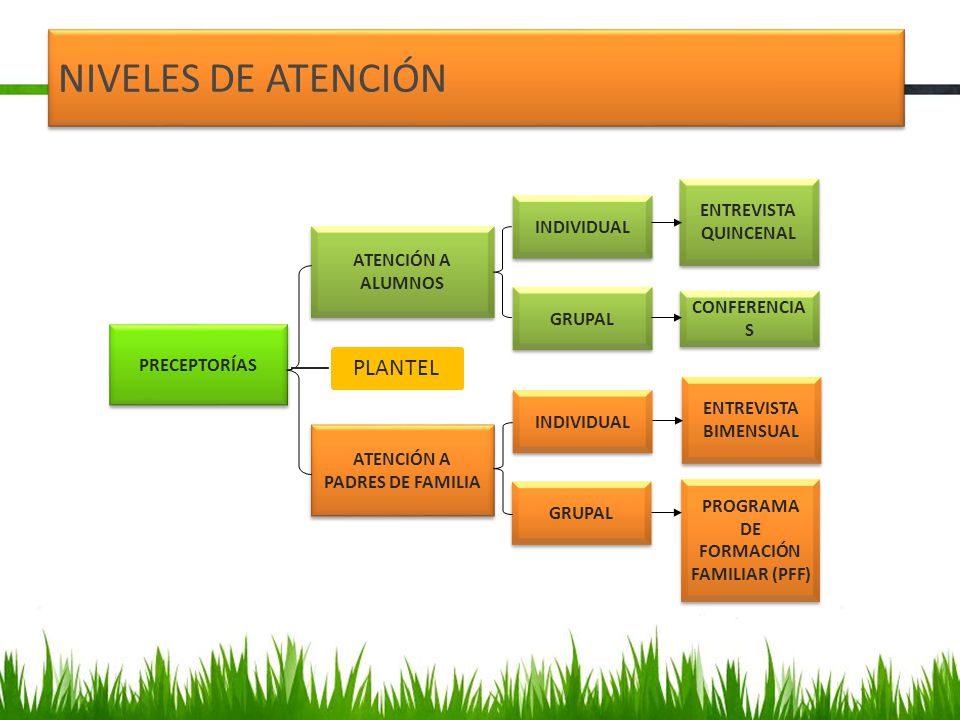 ATENCIÓN A PADRES DE FAMILIA PROGRAMA DE FORMACIÓN FAMILIAR (PFF)