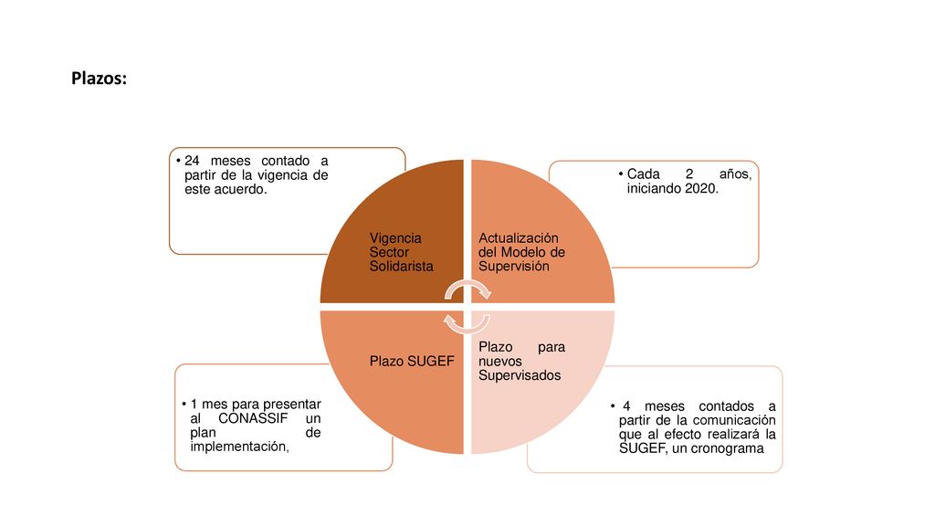 Plazos: 4 meses contados a partir de la comunicación que al efecto realizará la SUGEF, un cronograma.