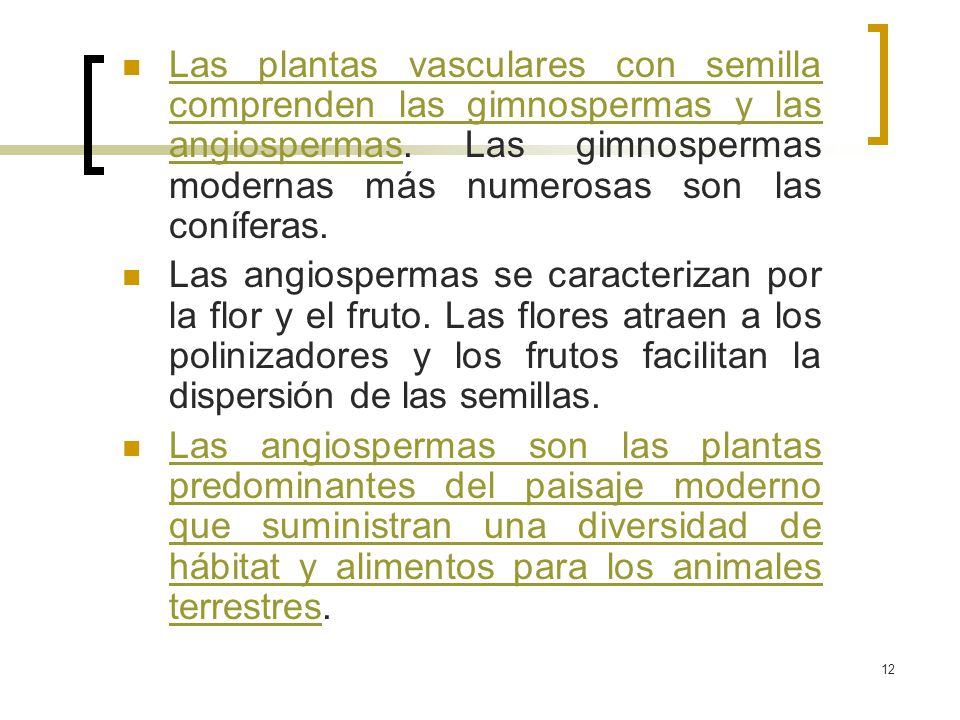 Las plantas vasculares con semilla comprenden las gimnospermas y las angiospermas. Las gimnospermas modernas más numerosas son las coníferas.
