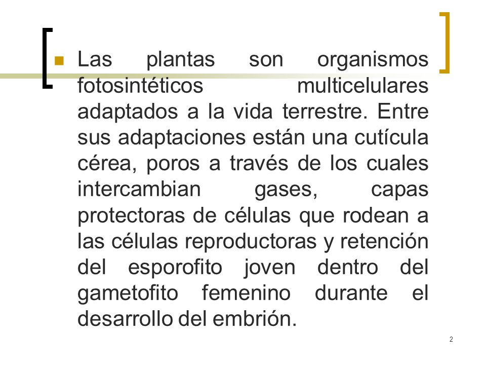 Las plantas son organismos fotosintéticos multicelulares adaptados a la vida terrestre.