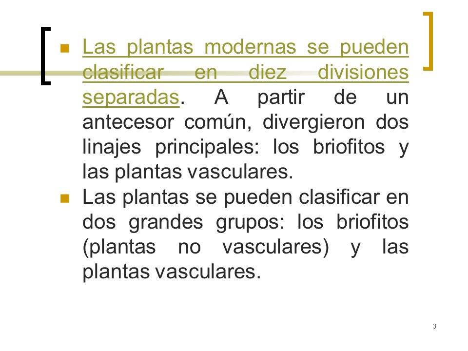 Las plantas modernas se pueden clasificar en diez divisiones separadas