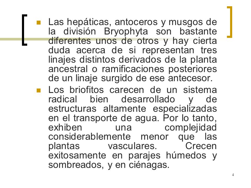 Las hepáticas, antoceros y musgos de la división Bryophyta son bastante diferentes unos de otros y hay cierta duda acerca de si representan tres linajes distintos derivados de la planta ancestral o ramificaciones posteriores de un linaje surgido de ese antecesor.