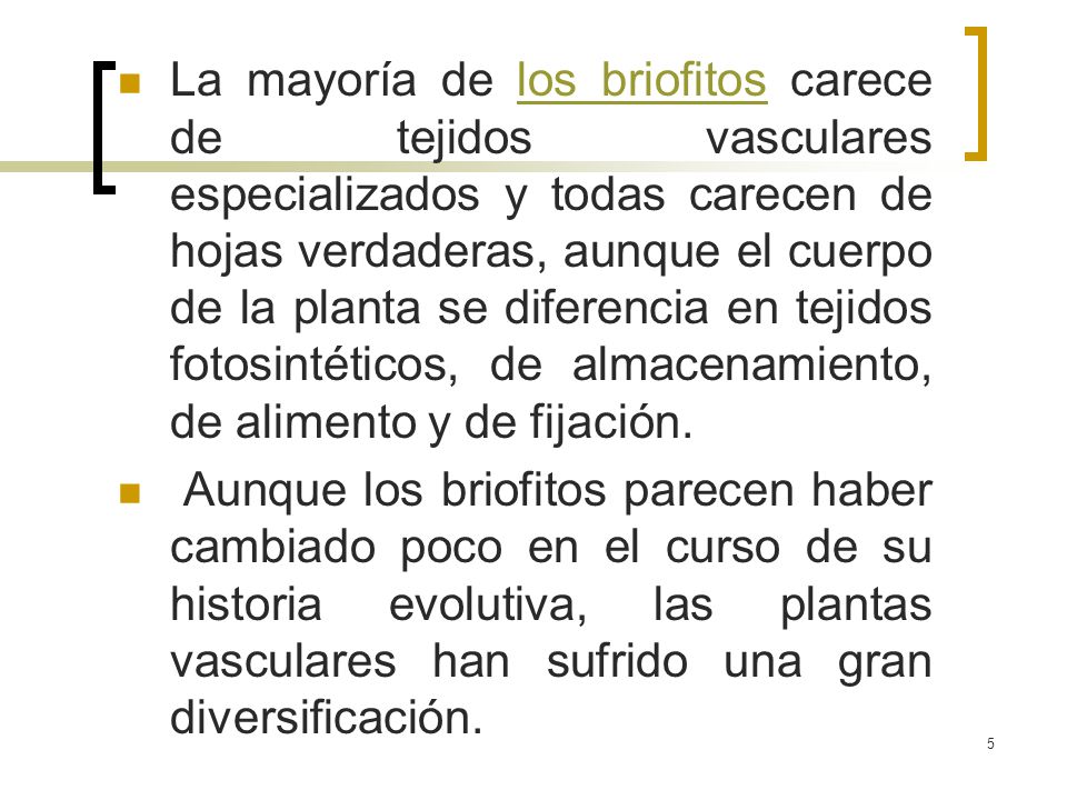 La mayoría de los briofitos carece de tejidos vasculares especializados y todas carecen de hojas verdaderas, aunque el cuerpo de la planta se diferencia en tejidos fotosintéticos, de almacenamiento, de alimento y de fijación.