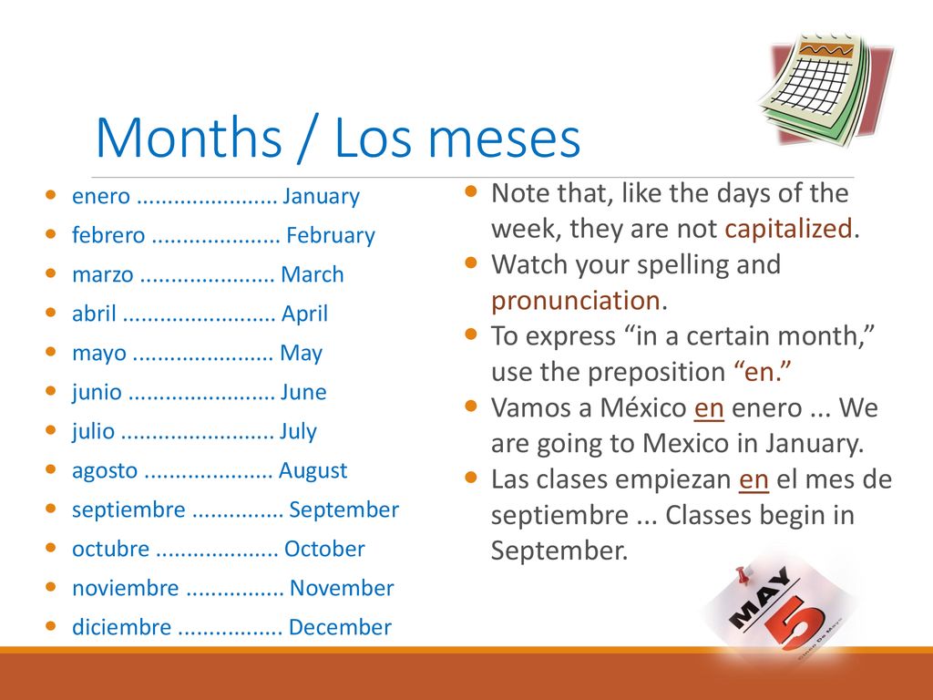 Months / Los meses Note that, like the days of the week, they are not capitalized. Watch your spelling and pronunciation.