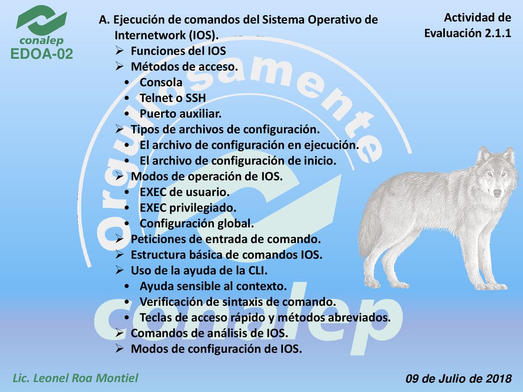 A. Ejecución de comandos del Sistema Operativo de Internetwork (IOS).