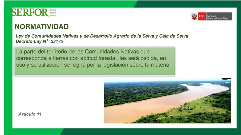 NORMATIVIDAD Ley de Comunidades Nativas y de Desarrollo Agrario de la Selva y Ceja de Selva. Decreto Ley N°