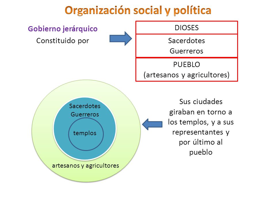 Organización social y política