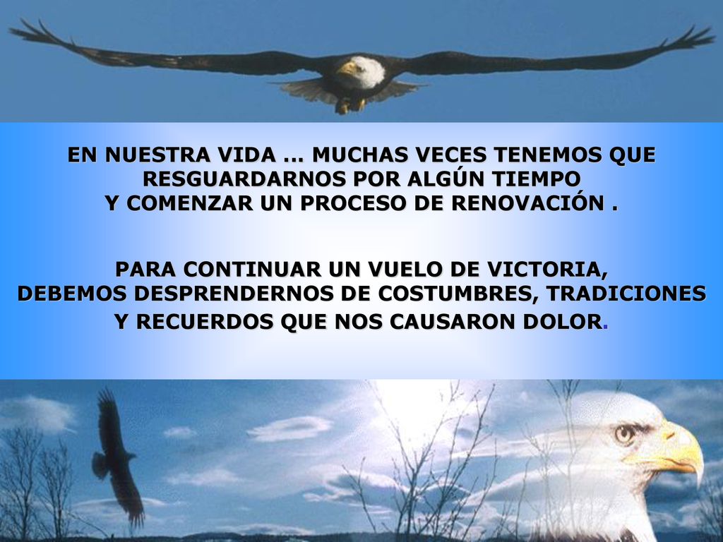 EN NUESTRA VIDA ... MUCHAS VECES TENEMOS QUE RESGUARDARNOS POR ALGÚN TIEMPO Y COMENZAR UN PROCESO DE RENOVACIÓN .