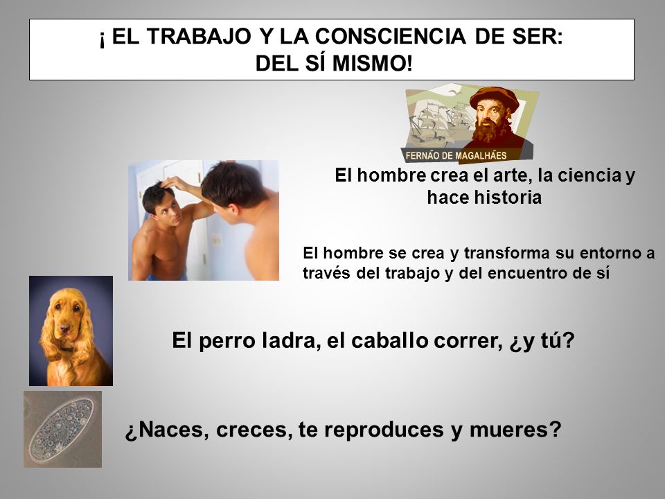¡ EL TRABAJO Y LA CONSCIENCIA DE SER: DEL SÍ MISMO!