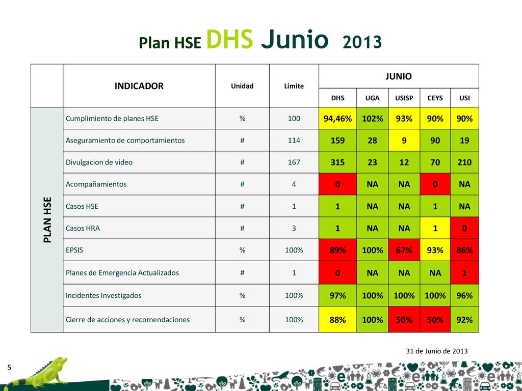 Plan HSE DHS Junio 2013 PLAN HSE JUNIO INDICADOR 94,46% 102% 93% 90%