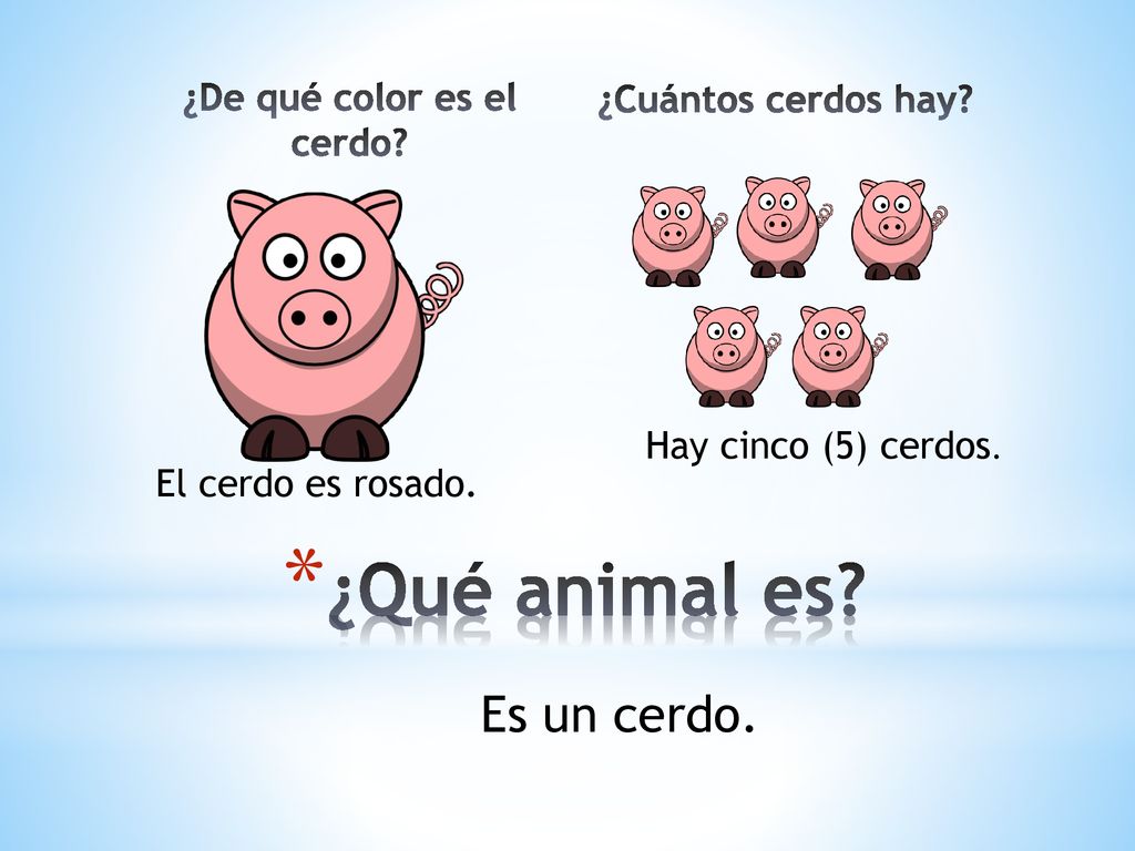 ¿De qué color es el cerdo