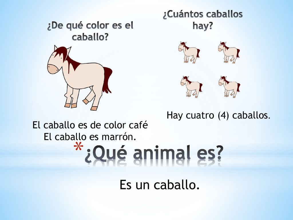 ¿De qué color es el caballo