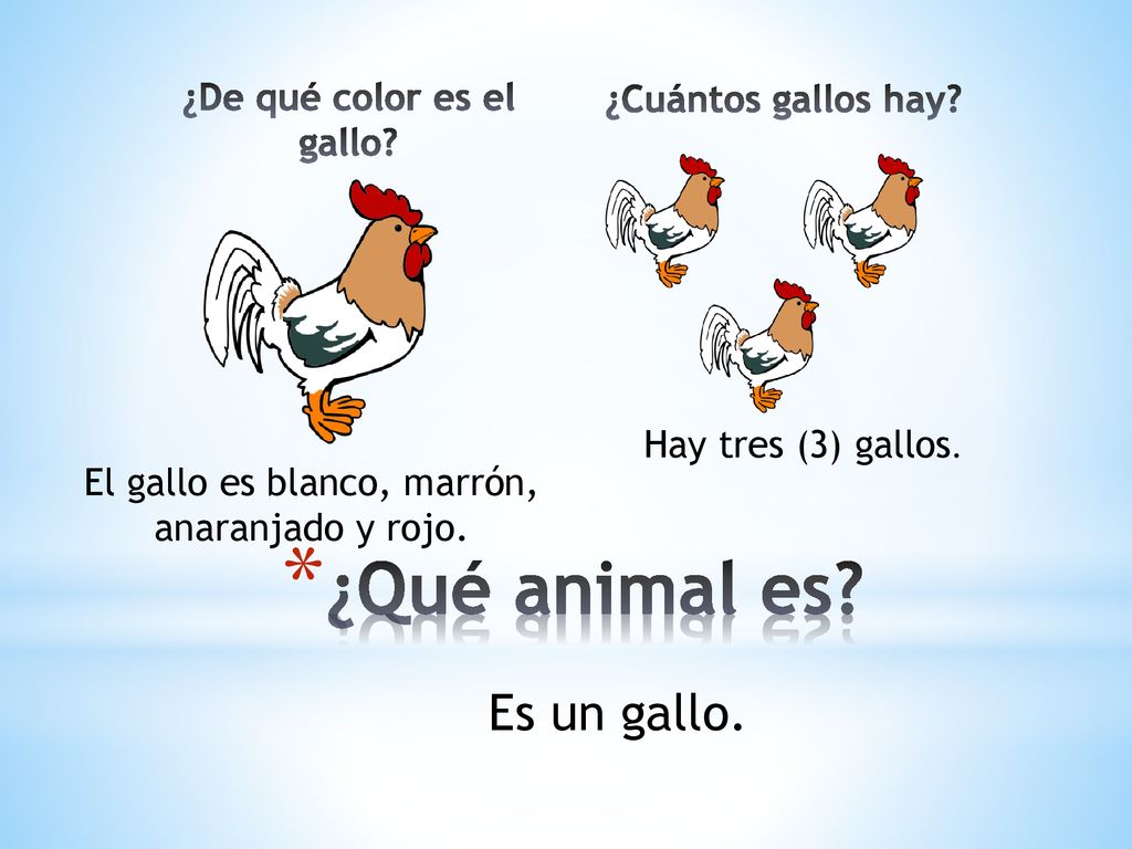 ¿De qué color es el gallo