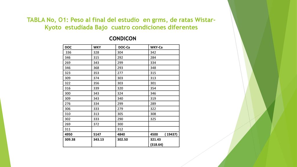 TABLA No, O1: Peso al final del estudio en grms, de ratas Wistar-Kyoto estudiada Bajo cuatro condiciones diferentes CONDICON